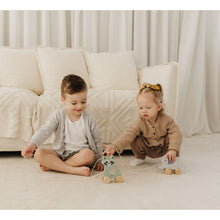 Load image into Gallery viewer, Bubble Wooden Raccoon Pull Along Toy