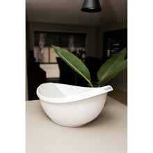 Load image into Gallery viewer, 25594896