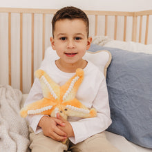 Load image into Gallery viewer, Bubble Plush Star Fish