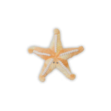 Load image into Gallery viewer, Bubble Plush Star Fish