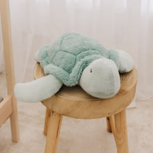 Load image into Gallery viewer, Bubble Plush Turtle