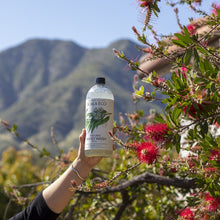 Load image into Gallery viewer, Koala Eco Natural Hand Wash Lemon Scented Eucalyptus & Rosemary Essential Oil - 1L Refill
