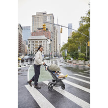 Load image into Gallery viewer, Ergobaby Metro+ Deluxe Compact City Stroller - Empire State Green