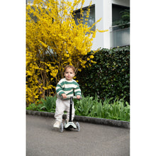 Load image into Gallery viewer, Micro Mini Deluxe Rock & Go LED - Olive Sage