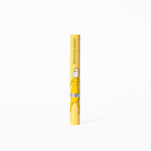 Load image into Gallery viewer, Matchstick Monkey Baby Sonic Toothbrush - Ludo Lion