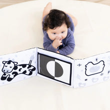 Load image into Gallery viewer, Pearhead Learning Kit 0-6 Months