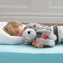 Load image into Gallery viewer, Skip Hop Cry Activated Soother - Sloth