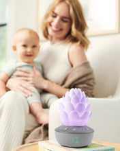 Load image into Gallery viewer, Skip Hop Terra Cry-Activated Soother