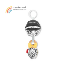 Load image into Gallery viewer, Skip Hop Discoverosity 3 in 1 Classic Stroller Toy