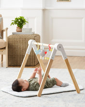 Load image into Gallery viewer, Skip Hop Silver Lining Cloud Wooden Activity Gym
