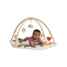 Load image into Gallery viewer, Skip Hop Geometric Wonders Activity Gym