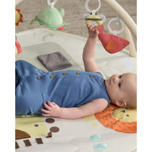 Load image into Gallery viewer, Skip Hop Geometric Wonders Activity Gym