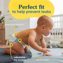 Load image into Gallery viewer, 3790