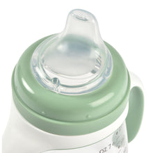 Load image into Gallery viewer, Beaba 2-in-1 Bottle to Sippy Learning Cup 210ml - Sage Green