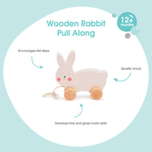 Load image into Gallery viewer, Bubble Wooden Rabbit Pull Along