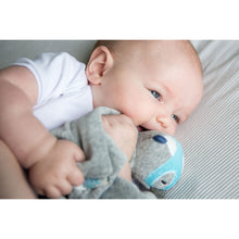 Load image into Gallery viewer, Bubble Comforter - Flash the Fox