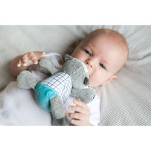 Load image into Gallery viewer, Bubble Comforter - Flash the Fox