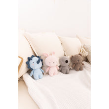 Load image into Gallery viewer, Bubble Beanie the Bear