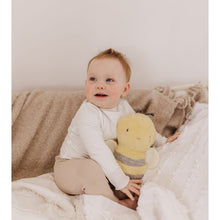 Load image into Gallery viewer, Bubble Bumble the Bee