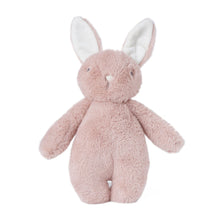 Load image into Gallery viewer, Bubble Lulabelle the Bunny