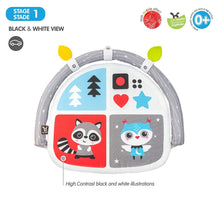 Load image into Gallery viewer, Benbat Dazzle Double Sided Car Arch