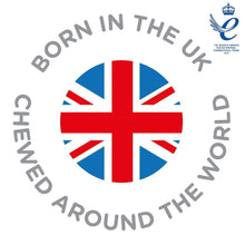 Load image into Gallery viewer, Cheeky Chompers Comfortchew - Botanical Bloom