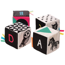 Load image into Gallery viewer, Manhattan Toy Wimmer Ferguson Mind Cubes
