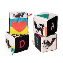 Load image into Gallery viewer, Manhattan Toy Wimmer Ferguson Mind Cubes