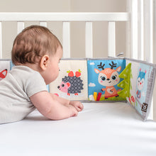 Load image into Gallery viewer, Benbat Double Sided Soft Book