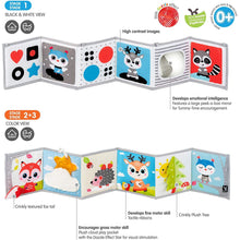 Load image into Gallery viewer, Benbat Double Sided Soft Book