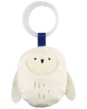 Load image into Gallery viewer, Skip Hop Celestial Dreams Activity Gym