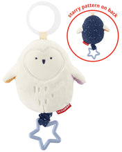 Load image into Gallery viewer, Skip Hop Celestial Dreams Jitter Owl