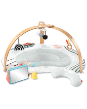 Load image into Gallery viewer, Skip Hop Discoverosity Deluxe Activity Gym