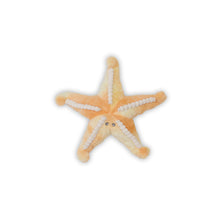 Load image into Gallery viewer, Bubble Plush Star Fish
