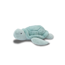 Load image into Gallery viewer, Bubble Plush Turtle
