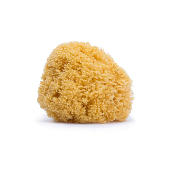 Suavinex Large Natural Sponge