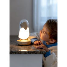 Load image into Gallery viewer, Bubble Toucan Night Light
