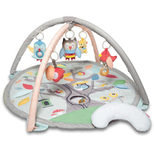 Load image into Gallery viewer, Skip Hop Treetop Activity Gym - Grey/Pastel
